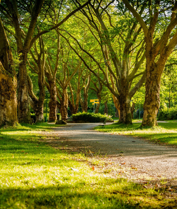 The Natural Counsellor